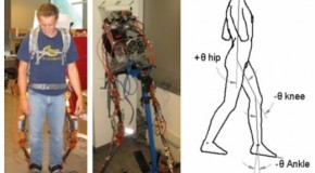 MD Adams and LifeMod Integral in University of California, Santa Cruz’s Bionics Lab Research Study on Lower Limb Exoskeletons